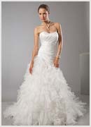 Feathered Dress
