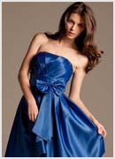 Elegant Blue Dress